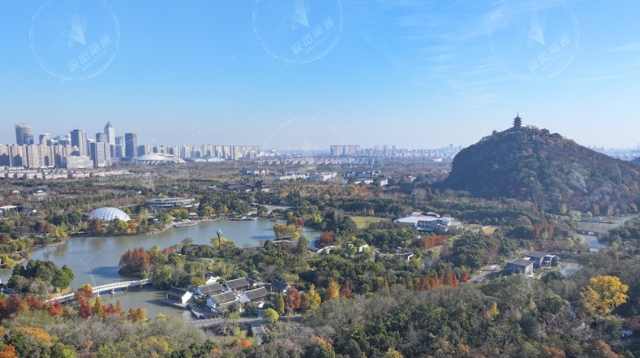 視頻|遠眺南通新城 初冬“秋景”美